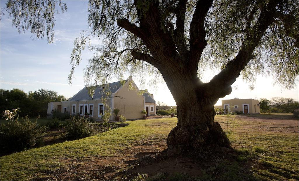 Rietfontein Ostrich Palace Vleirivier Екстериор снимка